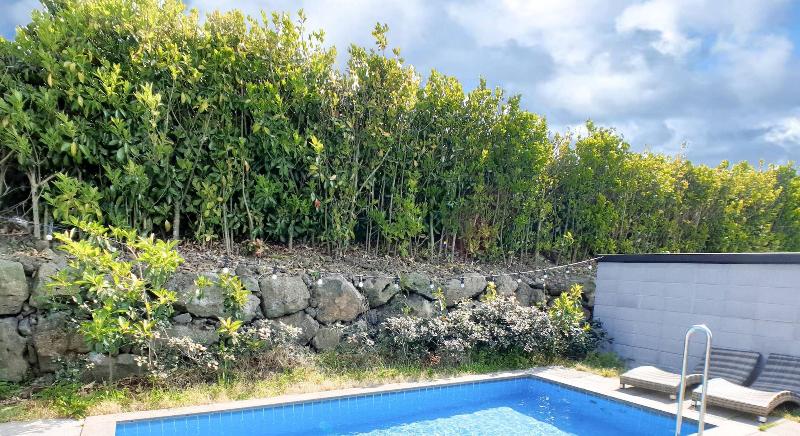 Pool & Villa Sorang image