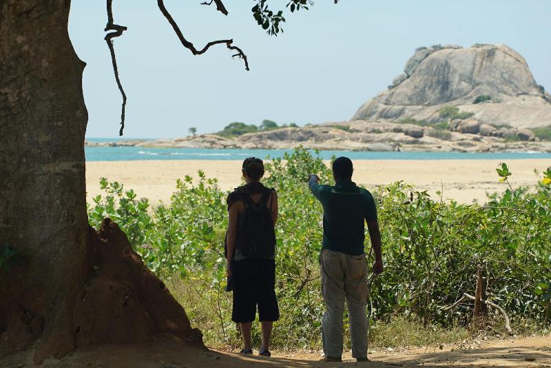 Big Game Yala by Eco Team image