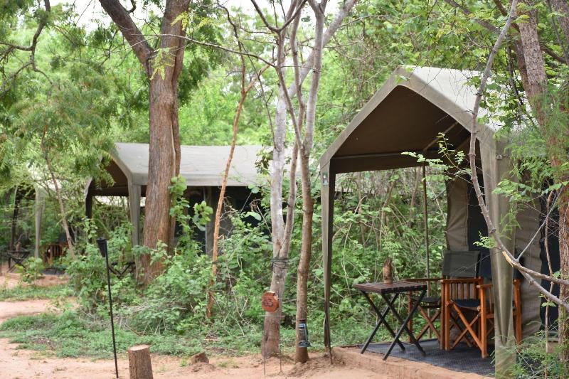 Big Game Yala by Eco Team image