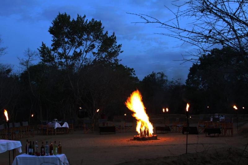 Big Game Yala by Eco Team image