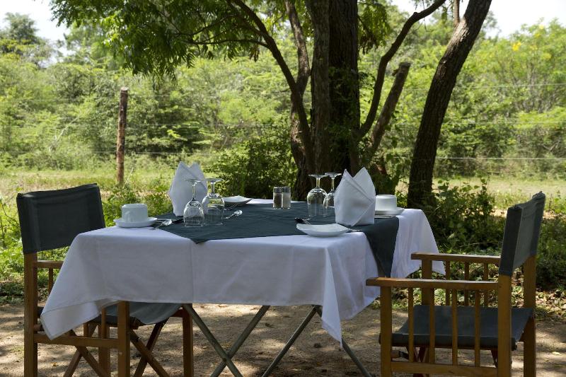 Big Game Yala by Eco Team image
