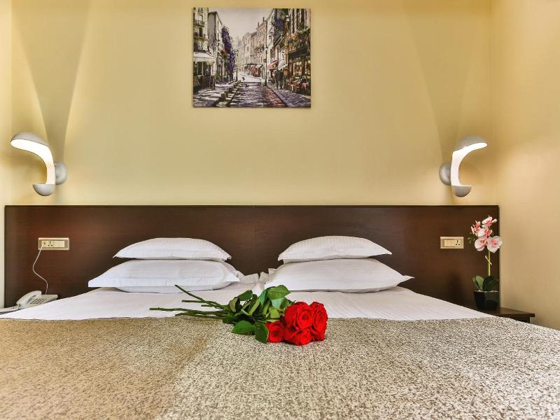 Hotel Premier image