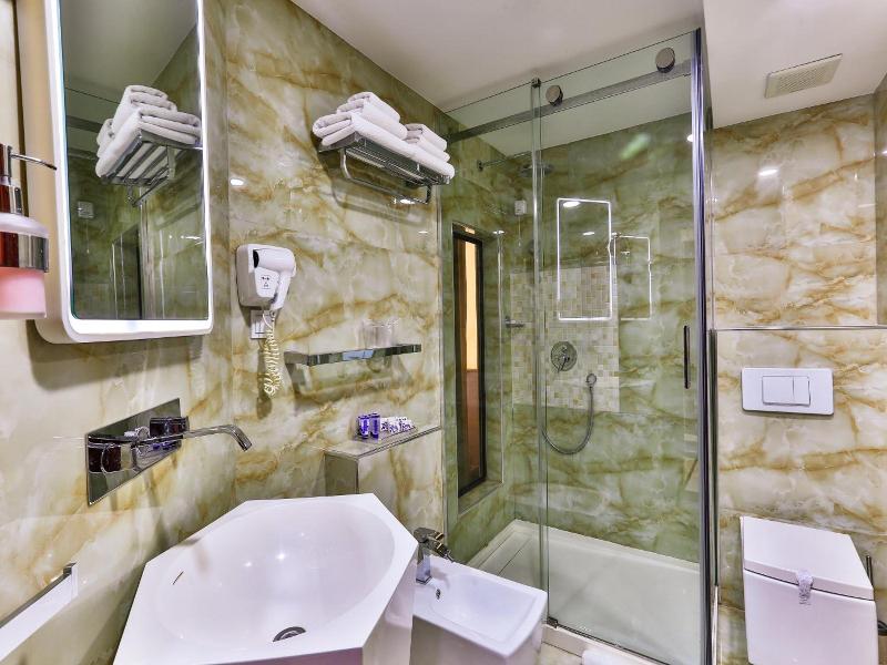 Hotel Premier image