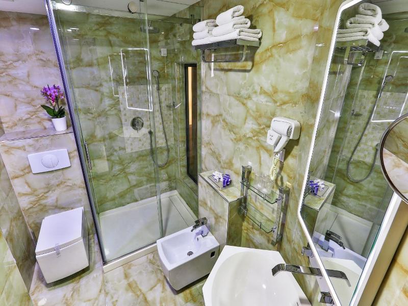 Hotel Premier image