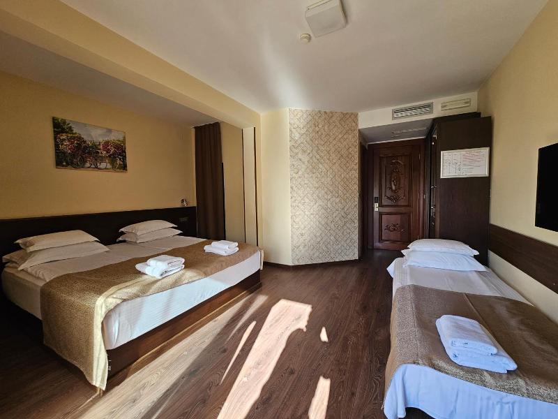 Hotel Premier image