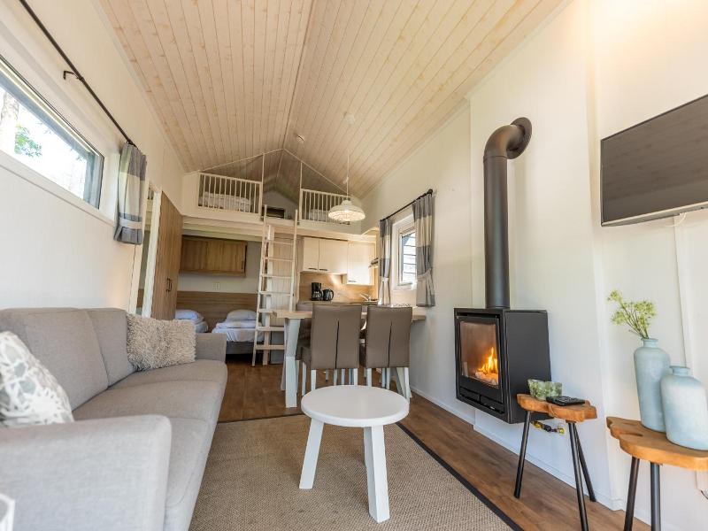 EuroParcs Resort Veluwemeer image