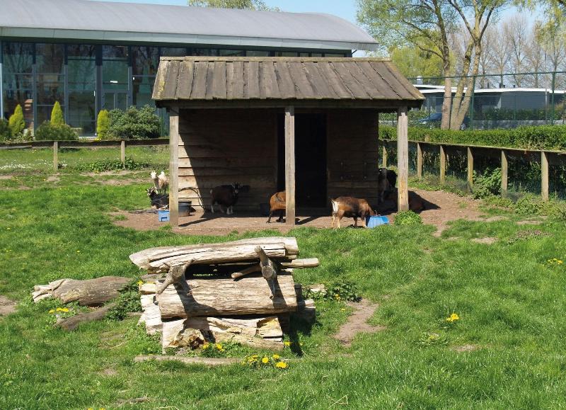 EuroParcs Resort de Biesbosch image