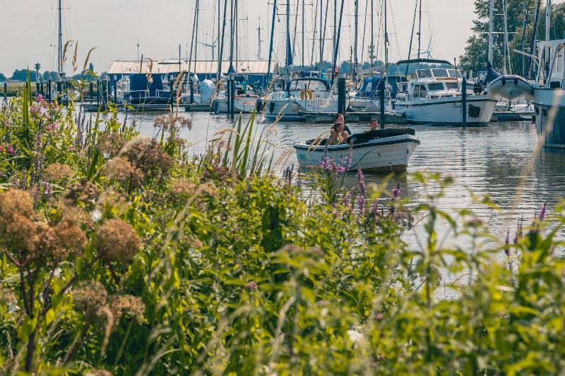 EuroParcs Resort de Biesbosch image