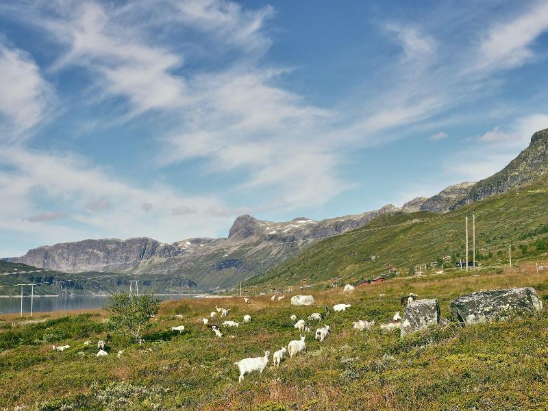 Storestolen Fjellstugu image