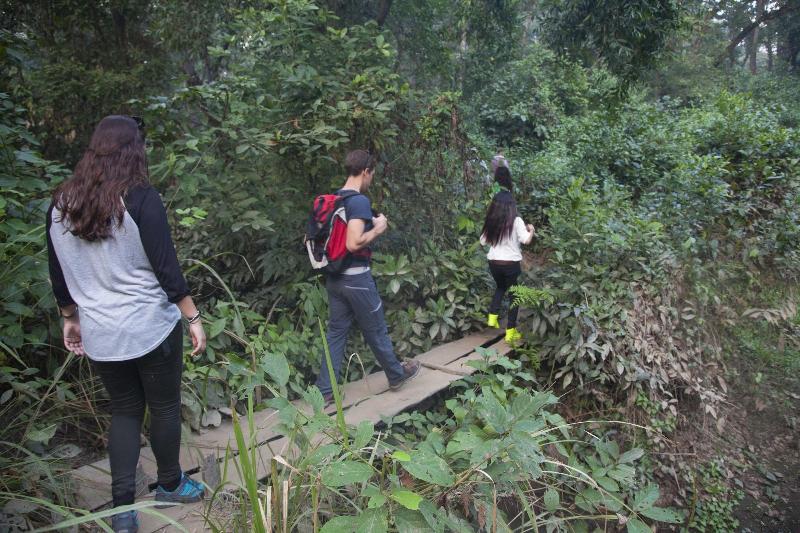 Green Mansions Jungle Resort image