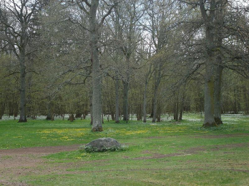 Pensionat Strandhagen image