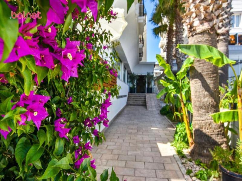 Acem Hotel image