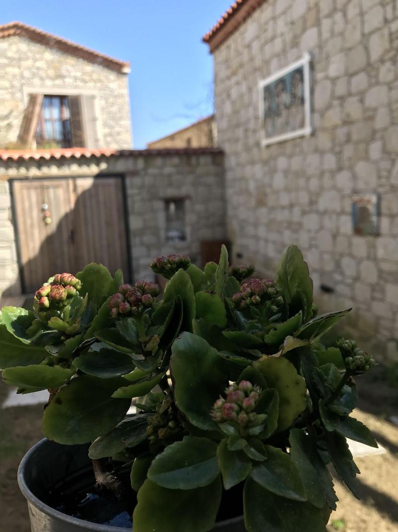 Alacati Cona Butik Otel