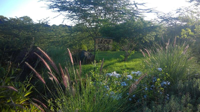 The Retreat at Ngorongoro image