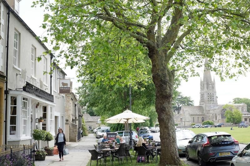 The Fleece image