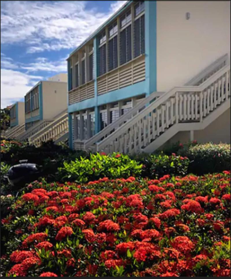 Sapphire Sanctuary by the Sea LLC image