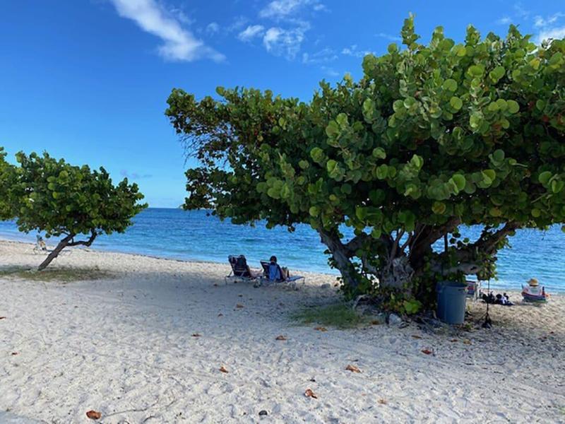 Sapphire Sanctuary by the Sea LLC image