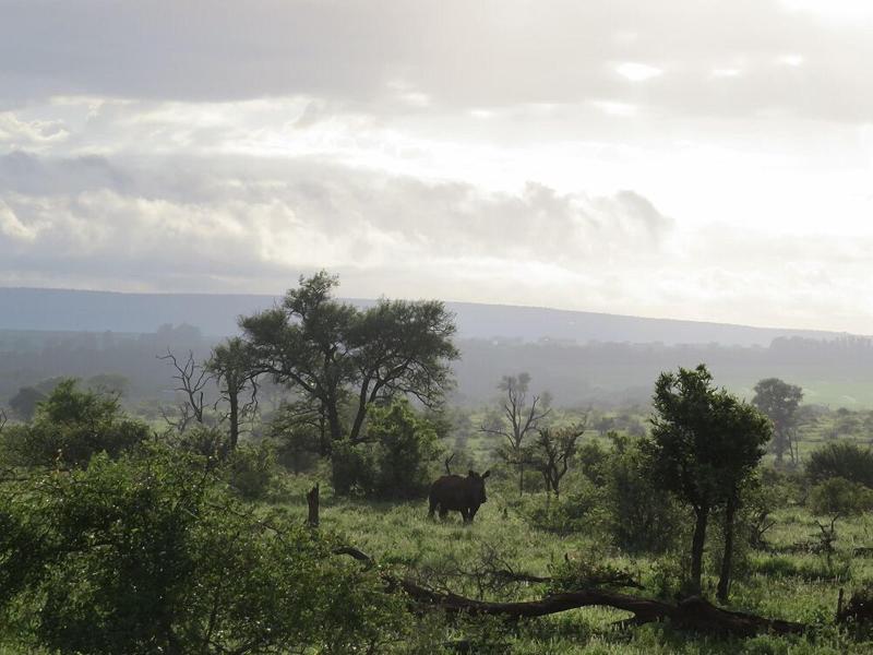 Crocodile Bridge Safari Lodge image