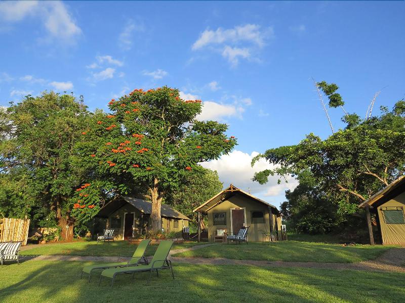 Crocodile Bridge Safari Lodge image