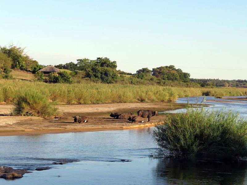 Crocodile Bridge Safari Lodge image