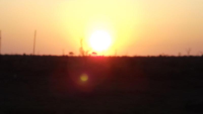 Crocodile Bridge Safari Lodge image