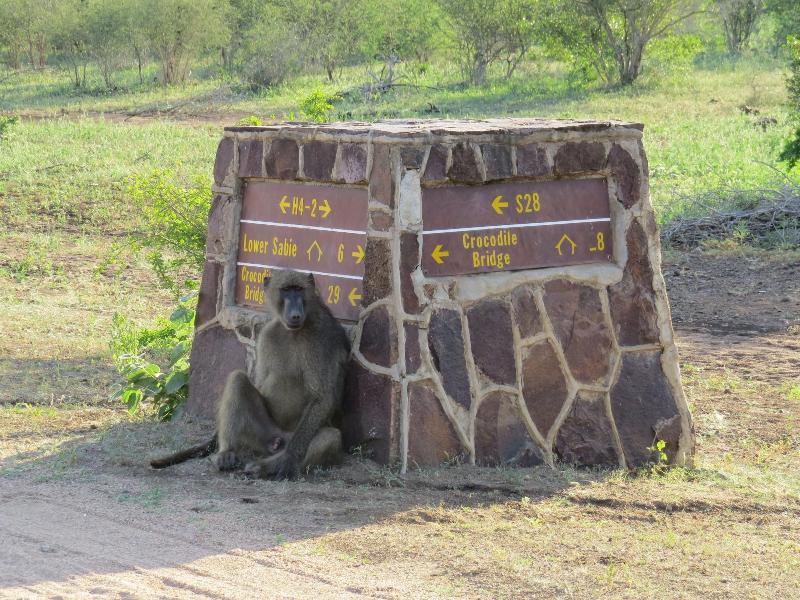 Crocodile Bridge Safari Lodge image