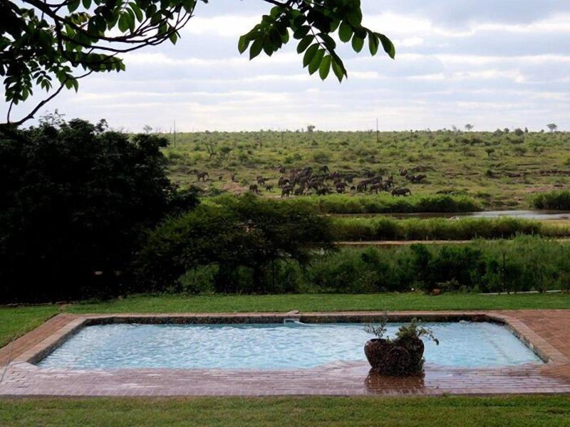 Crocodile Bridge Safari Lodge image