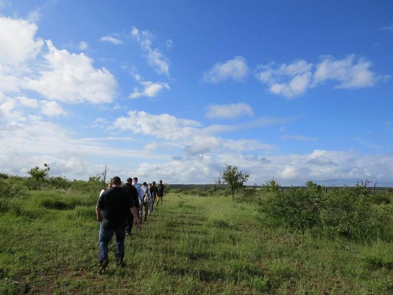 Crocodile Bridge Safari Lodge image