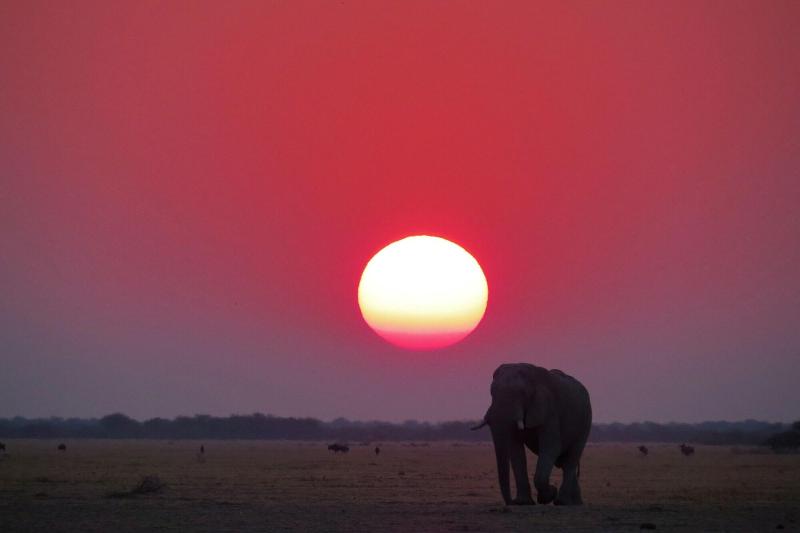 Crocodile Bridge Safari Lodge image