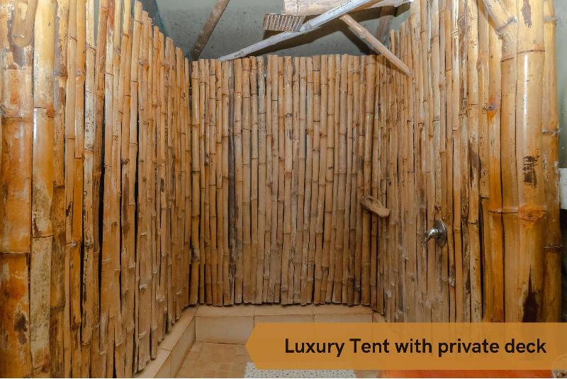 Crocodile Bridge Safari Lodge image