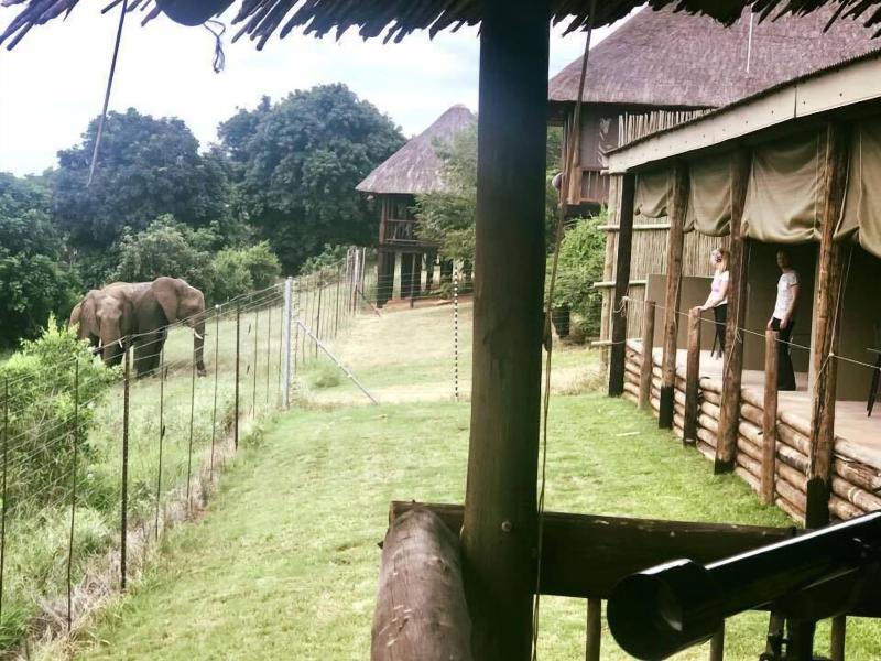 Crocodile Bridge Safari Lodge image