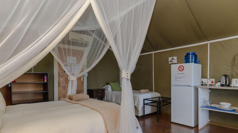 Crocodile Bridge Safari Lodge image