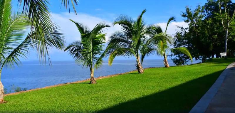 Lake Safari Lodge image