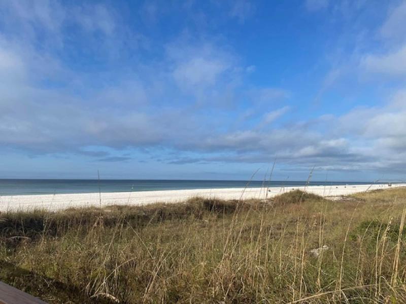 Shores of Panama Beach Resort — photo 43