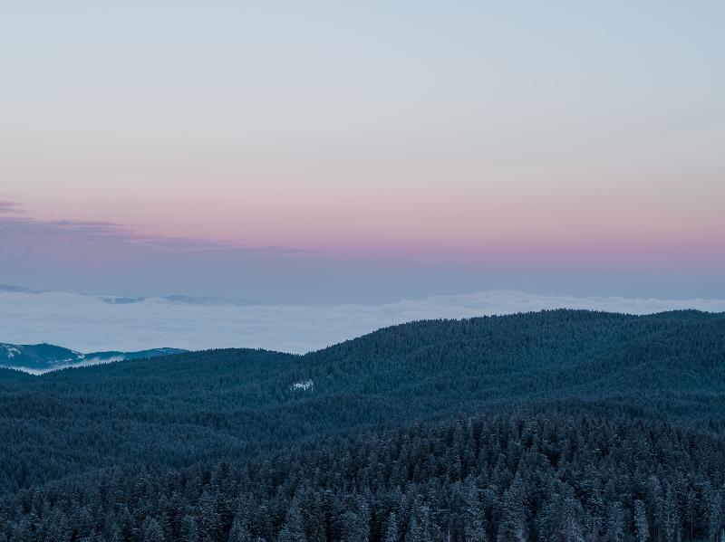 Viceroy Kopaonik Serbia image