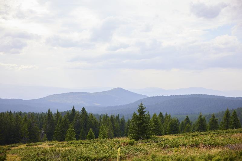 Viceroy Kopaonik Serbia image