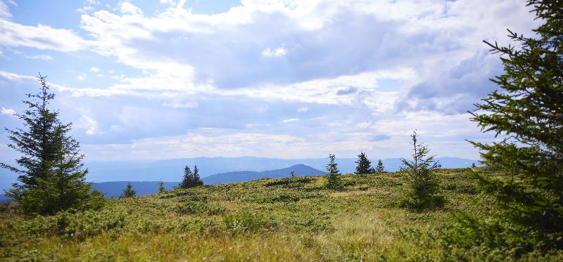 Viceroy Kopaonik Serbia image