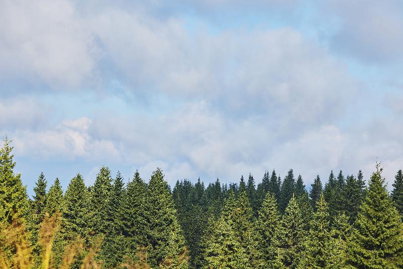 Viceroy Kopaonik Serbia image