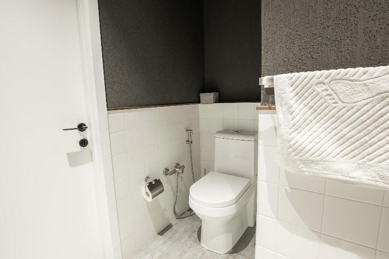 RIS Dalma Collection Yerevan image