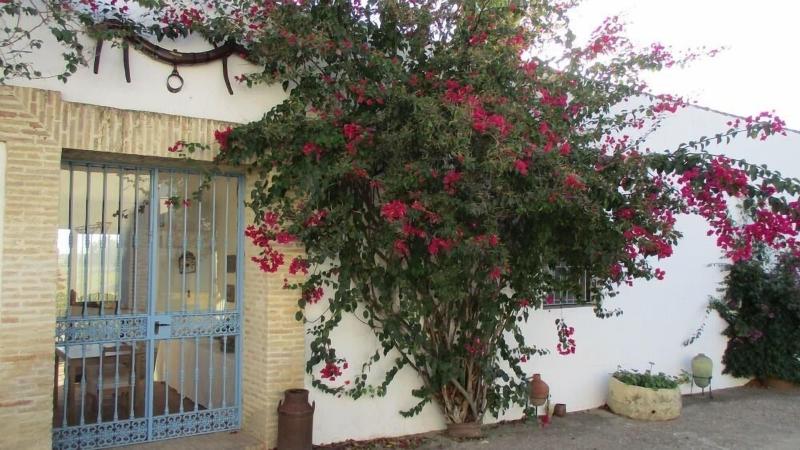 Cortijo Santa Clara image