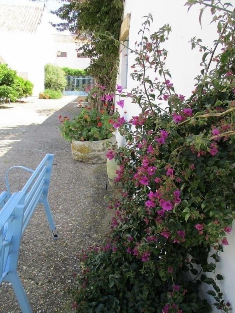 Cortijo Santa Clara image