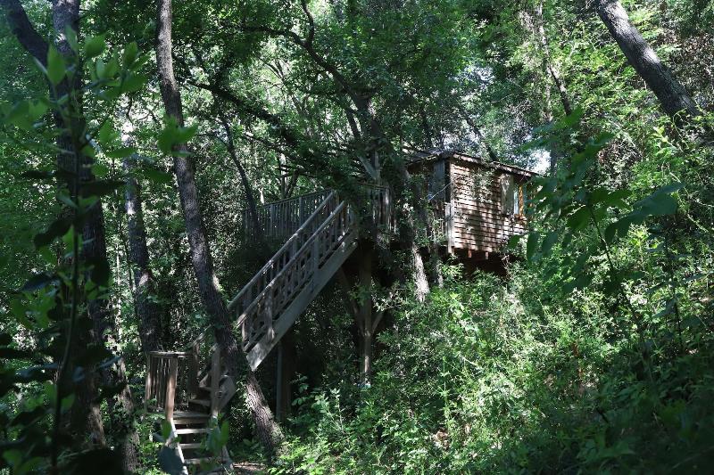 Orion Tree houses image