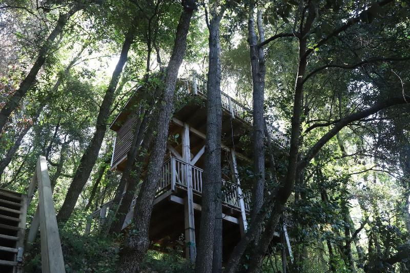 Orion Tree houses image
