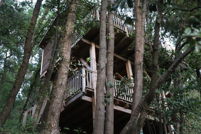Orion Tree houses image