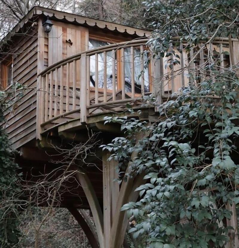Orion Tree houses image