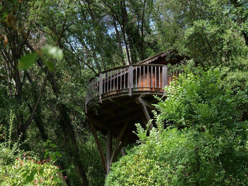 Orion Tree houses image