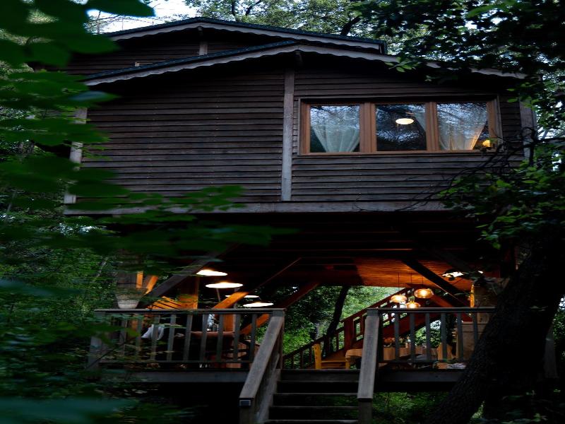 Orion Tree houses image