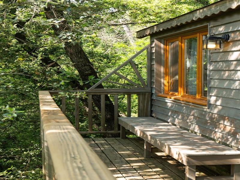 Orion Tree houses image