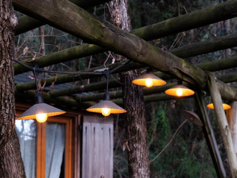 Orion Tree houses image