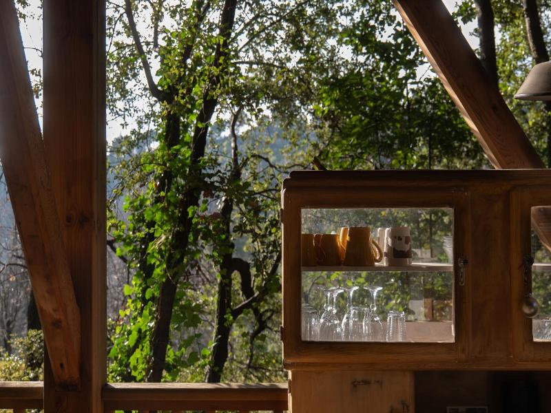 Orion Tree houses image